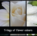 Trilogy of flower colours 2019 : The coloured flower variety resembles a rainbow - Book