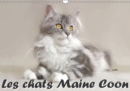 Les chats Maine Coon 2019 : Serie de 12 tableaux pour mettre en valeur la beaute naturelle des chats maine coon. - Book