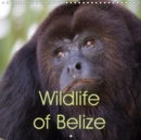 Wildlife of Belize 2019 : Gorgeous wildlife photos from the Central American paradise of Belize - Book