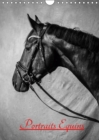 Portraits Equins 2019 : Portraits en noir et blanc de chevaux - Book