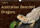 Close to Australian Bearded Dragons 2019 : Fantastic close-up photography of beautiful Australian Bearded Dragons. The big lizards with personalities. - Book