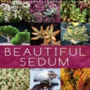 Beautiful Sedum 2019 : Portraits of beautiful Sedum varieties - Book
