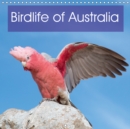 Birdlife of Australia 2019 : A beautiful calendar that showcases some of the unique birdlife of Australia - Book