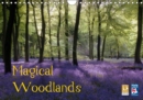 Magical Woodlands 2019 : The beauty of British woodlands throughout the year. - Book