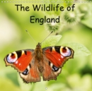 The Wildlife of England 2019 : Photos of birds and insects from around England. - Book
