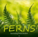 FERNS fascinating forest dwellers 2019 : FERNS - very fascinating forest dwellers. - Book