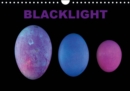 Blacklight 2019 : Monthly calendar, 14 pages - Book