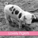 Lovely Piglets 2019 : Bentheimer pigs in black and white - Book