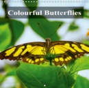 Colourful Butterflies 2019 : Colourful Butterflies, different species in detail. - Book