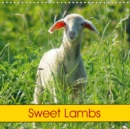 Sweet Lambs 2019 : Sheep and Farm Animal - Book
