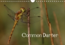 Common Darter 2019 : The Fearless Dragonfly - Book