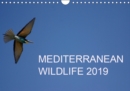 MEDITERRANEAN WILDLIFE 2019 2019 : Wildlife photos taken in the Mediterranean region - Book