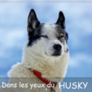 Dans les yeux du husky 2019 : Le chien husky aime courir, le voici pendant et apres une course de traineaux. - Book