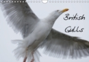 British Gulls 2019 : A selection of my photographs of gulls across Southern England - Book