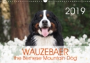 WAUZEBAER the Bernese Mountain Dog 2019 : Photos of a Bernese Mountain Dog - Book