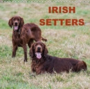 Irish Setters 2019 : Photos of Irish setters at rest and play - Book