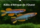 Killis d'Afrique de l'Ouest 2019 : Poissons colores - Book