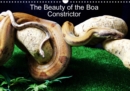 The Beauty of the Boa Constrictors 2019 : The beautiful colours - Book