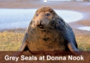 Grey Seals at Donna Nook 2019 : Breeding colony of grey seals - Book