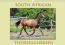 South African Thoroughbreds 2019 : Photographs of South African Thoroughbred horses. - Book