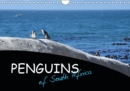 Penguins of South Africa 2019 : African Penguins in their natural habitat - Book