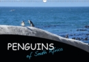 Penguins of South Africa 2019 : African Penguins in their natural habitat - Book