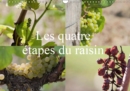 Les quatre etapes du raisin 2019 : Le raisin, le nectar des Dieux - Book