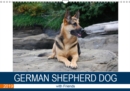 German Shepherd Dog with Friends 2019 : German Shepherd dog adventures on Vancouver Island - Book