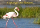 Camargue des flamants 2019 : La Camargue, ses flamants et ses ciels magnifiques et changeants. - Book