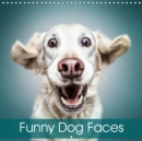 Funny Dog Faces 2019 : Gorgeous dog faces with a touch of humour - Book