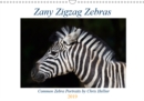 Zany Zigzag Zebras 2019 : Award-winning photographer, Chris Hellier, shoots a dozen images of one of the world's most popular wild animals. - Book