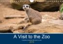 A Visit to the Zoo 2019 : A selection of animals often seen in a zoo. - Book