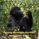 Facing Mountain Gorillas in Uganda 2019 : Trekking to the Habinyanja gorilla family in Biwindi Uganda - Book
