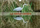 Le Heron cendre 2019 : Portrait d'un oiseau : le heron cendre dans le parc naturel du Patis a Meaux - Book