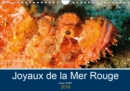 Joyaux de la Mer Rouge 2019 : Decouvrez les fonds riches en couleurs de la Mer Rouge - Book