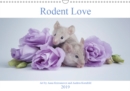 Rodent Love 2019 : Art by Anna Krizsanoczi and Andrea Kornfeld - Book