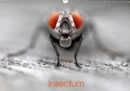 Insectum 2019 : Le monde fantastique des insectes - Book