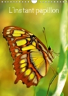 L'instant papillon 2019 : L'univers colore des papillons - Book
