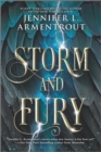 Storm and Fury - Book