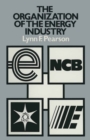 The Organization of the Energy Industry - eBook