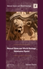Natural Stone and World Heritage : Salamanca (Spain) - eBook