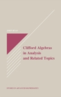 Clifford Algebras in Analysis and Related Topics - eBook