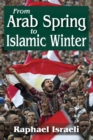From Arab Spring to Islamic Winter - eBook