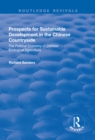 Prospects for Sustainable Development in the Chinese Countryside : The Political Economy of Chinese Ecological Agriculture - eBook