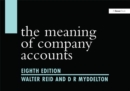 The Meaning of Company Accounts - eBook