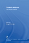 Domestic Violence : The Five Big Questions - eBook