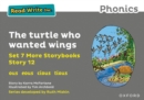 Read Write Inc. Phonics: The turtle who wanted wings (Grey Set 7A Storybook 12) - Book