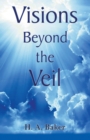 Visions Beyond The Veil - Book
