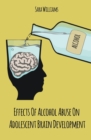Effects Of Alcohol Abuse On Adolescent Brain Development - Book