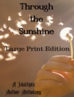 Through the Sunshine Large Print - Book